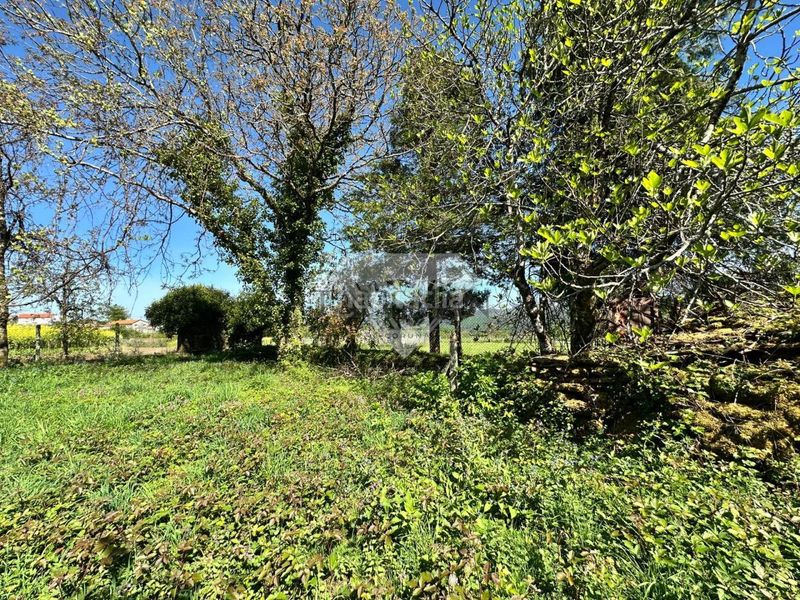 Foto 41a0b708-c3cb-4a34-8647-5cef4d90de89. Maison dans Estrada (A)