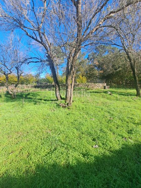 Foto 3ca90f6a-eb6e-4d46-9b3b-aa4c1f5542e3. Terreny residencial a Rianxo