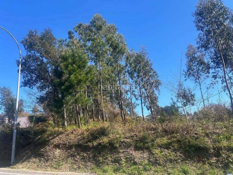 Foto 8e0e0fcb-0023-4d40-992a-bf9a13fa7154. Terreny residencial a Boiro