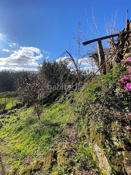 Foto 79835b03-9bd4-4322-bf26-6b228e064a96. Masia a Irixo (O)