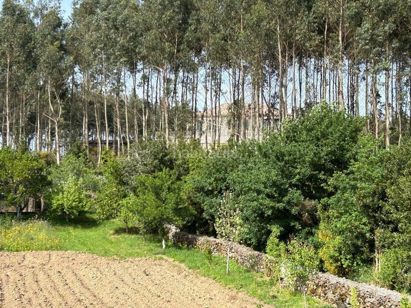 Foto ce0bac87-b60c-42de-ad89-ca735becc28a. Chalet mit heizung parking in Pobra do Caramiñal (A)