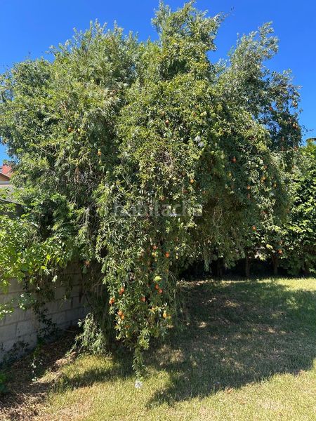 Foto b3c0a184-91ea-4ca5-af62-0ba307629e8a. Casa amb aparcament a Pobra do Caramiñal (A)