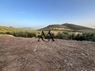 Residential Plot in Las Vegas - Campoaras. Venta de finca rústica en lucena