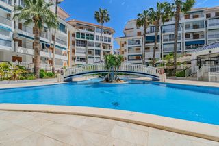 Apartament a Belgica 23. Piso en venta con piscina en torrevieja, la mata  visitas al pis
