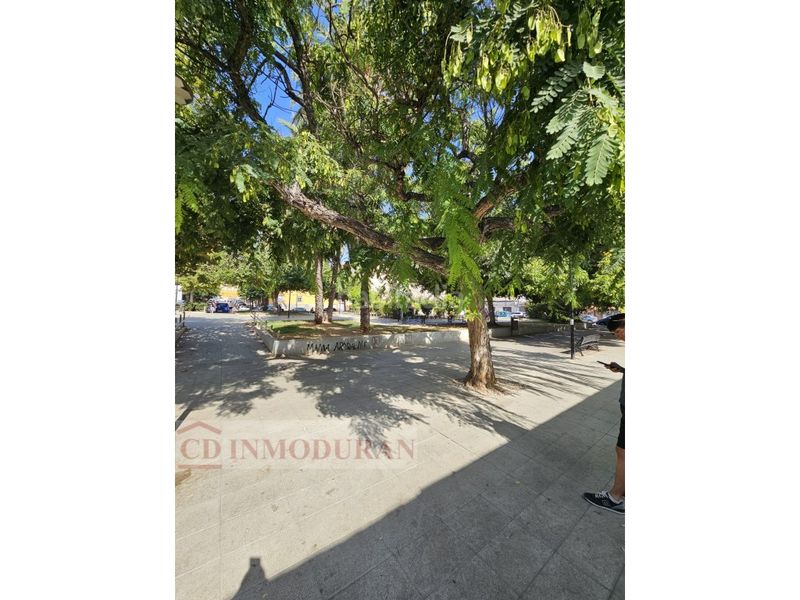 Foto eefdd614-da4e-4df4-89d1-d3740b814bff. Edifici a Ciudad de Asís Alicante