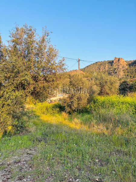 Foto de16eb86-4fda-42d0-9c77-0e31c1bca2de. Finca rústica a Algezares Murcia