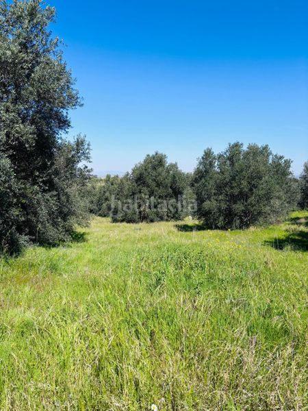 Foto e9d17fe6-dc89-486b-aa8d-be8b56378549. Finca rústica a Algezares Murcia