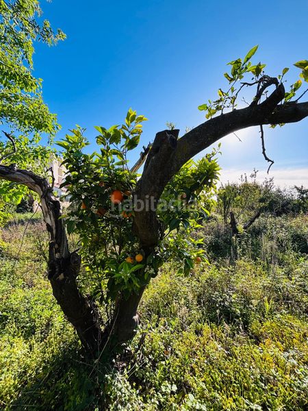 Foto b6d4fb31-9c92-4d96-a124-5310550a0de2. Finca rústica a Garres y Lages Murcia