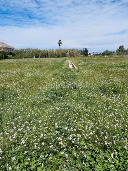 Foto 336b2f13-6bf2-4a80-a824-55c284b459fc. Finca rústica a Garres y Lages Murcia