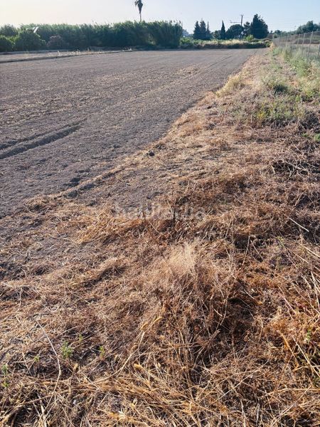 Foto c21d2bc0-eb63-4e7f-9dfa-82b2d8f914b3. Finca rústica a Garres y Lages Murcia