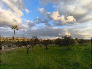 Masia  Diseminados poligono 9. Finca con vistas espectaculares en inca