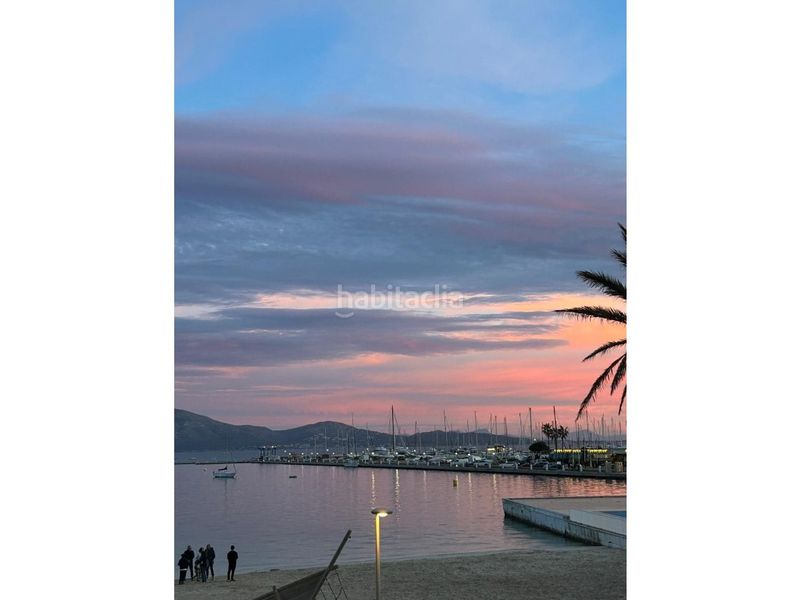 Foto c4da4f5f-3a9e-42bb-9db3-f3985d5ac178. Terreny residencial a port de Pollença Pollença