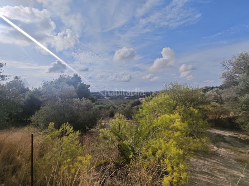 Foto dcea40b5-7d4b-4de7-89e3-4f64d92ae155. Masia a Selva