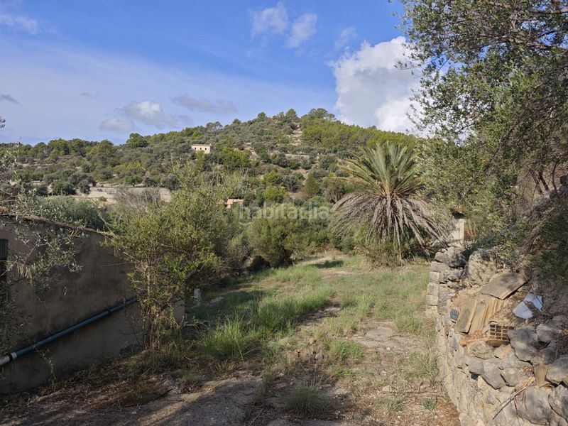 Foto fcbb9883-f973-4b9e-bdc2-a1db8c6dc636. Masia a Selva