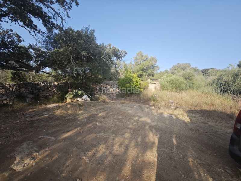 Foto 92a2639f-7829-4275-8e93-efd70abab2dd. Masia a Costitx