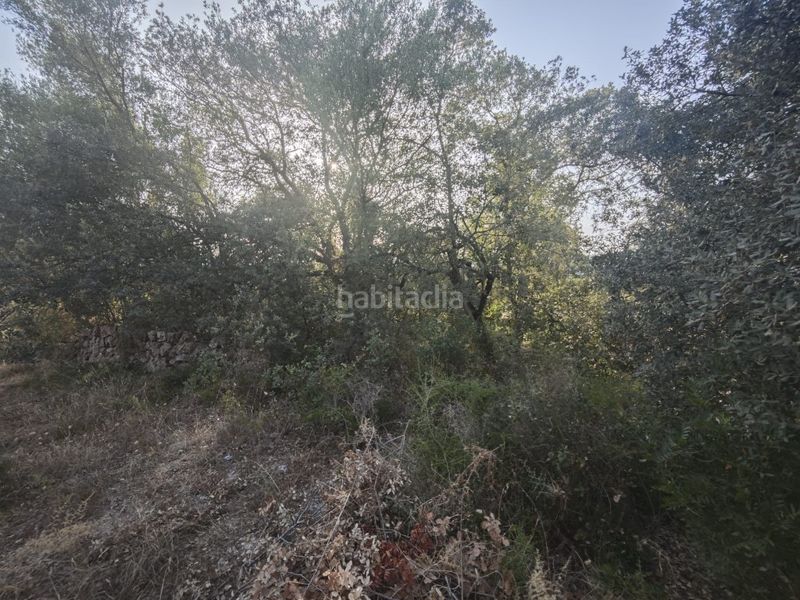 Foto ebc822d0-7e2f-4aa3-b0b3-9d2bb2a8a646. Masia a Costitx