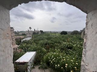 Bauernhof in Llubí. Buscas un proyecto en el corazón de mallorca?