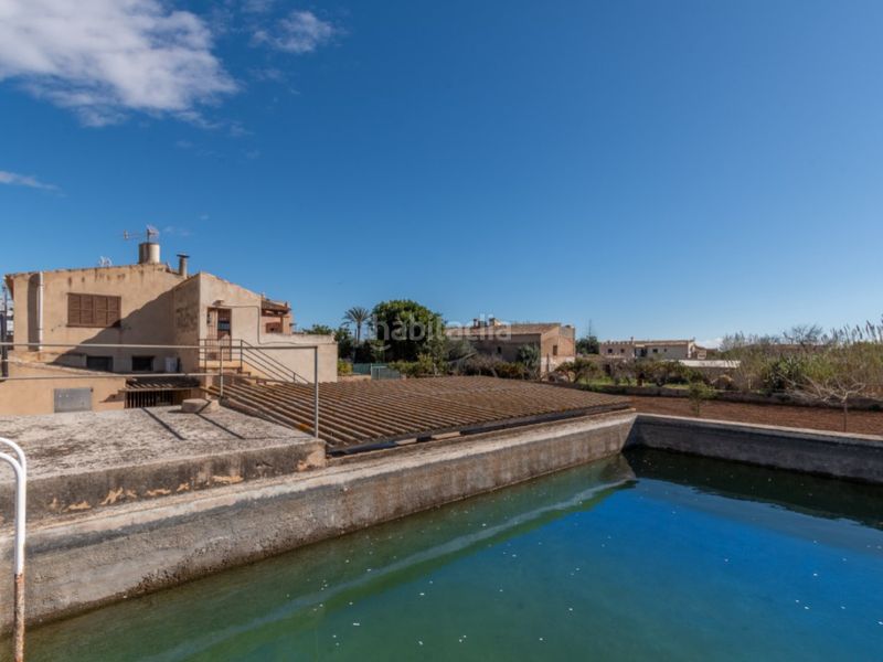 Foto c11137c7-feb6-4d77-b6f9-818674525426. Casa amb aparcament a Sa Indioteria Rural Palma de Mallorca
