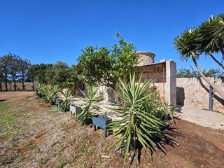 Mas  Diseminados poligon 12 rustega. Finca rústica con proyecto de chalet y piscina en muro