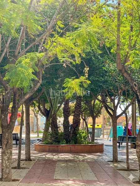 Foto 2b3d1faf-747f-447d-a251-576a76a326e6. Pis a Torrellano Elche / Elx