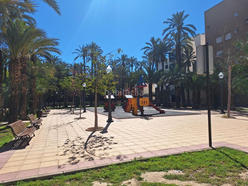 Foto dc86da06-2eaf-45ab-b9f0-403fce3192aa. Flat in Centro Elche / Elx