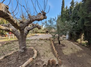 Chalet  Trigo. Authentic village house with endless renovation possibilities