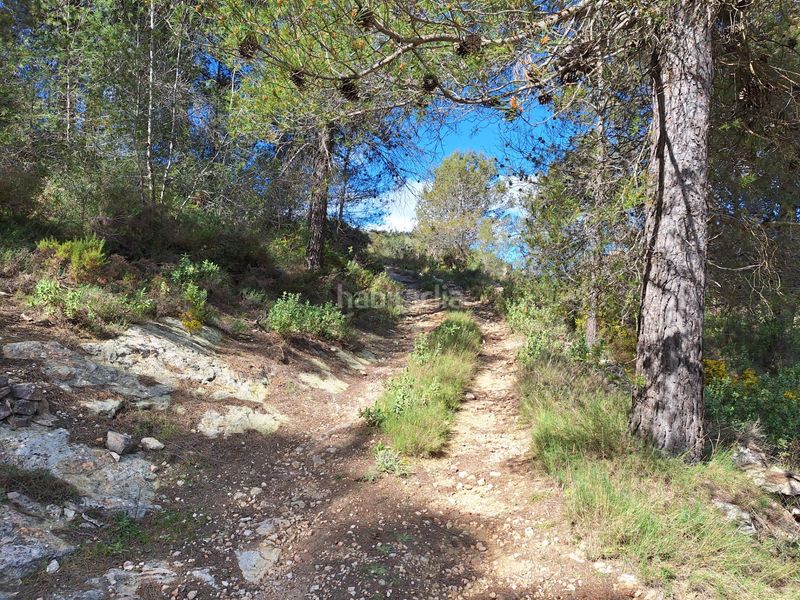 Foto 00ce4739-9d56-41b3-ba95-1cc9b6d6daea. Casa a Centre-Zona Alta Alcoi