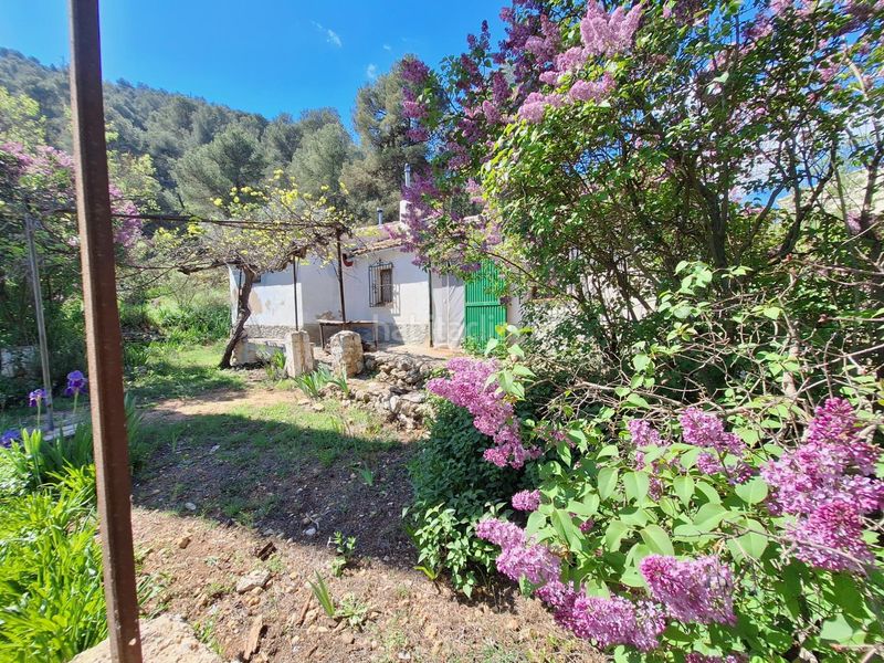 Foto 07a3da18-fcc2-4f09-952f-9da4c9120b91. Casa a Centre-Zona Alta Alcoi