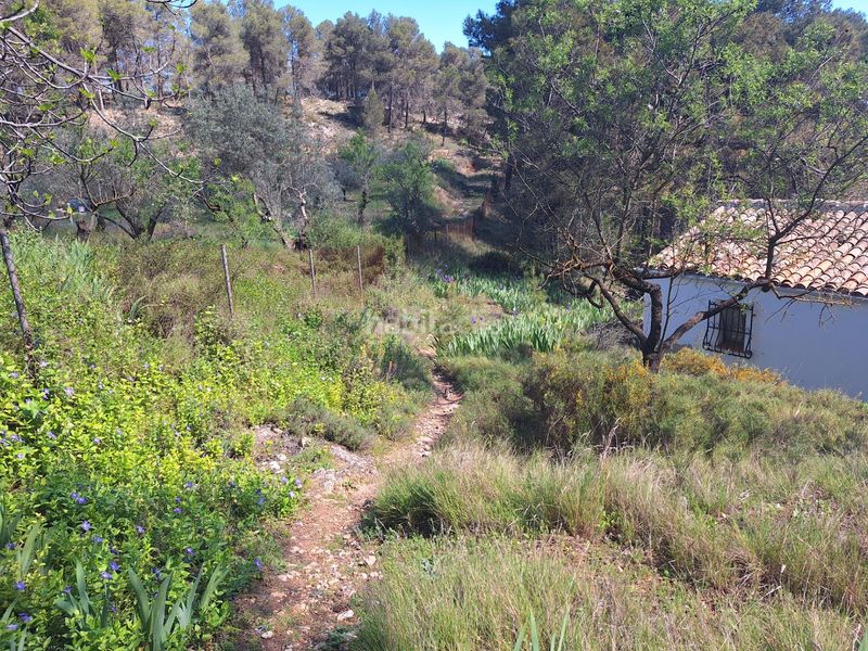 Foto 2672b0bf-b812-49ae-a3e1-202d7f342f74. Casa a Centre-Zona Alta Alcoi