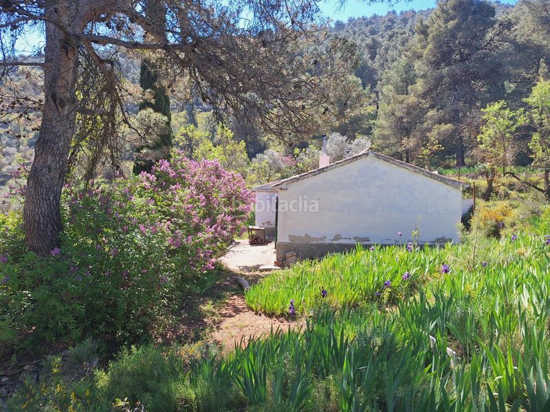 Foto 34ac3fb8-1555-4a4c-802a-f90773a48043. Casa a Centre-Zona Alta Alcoi