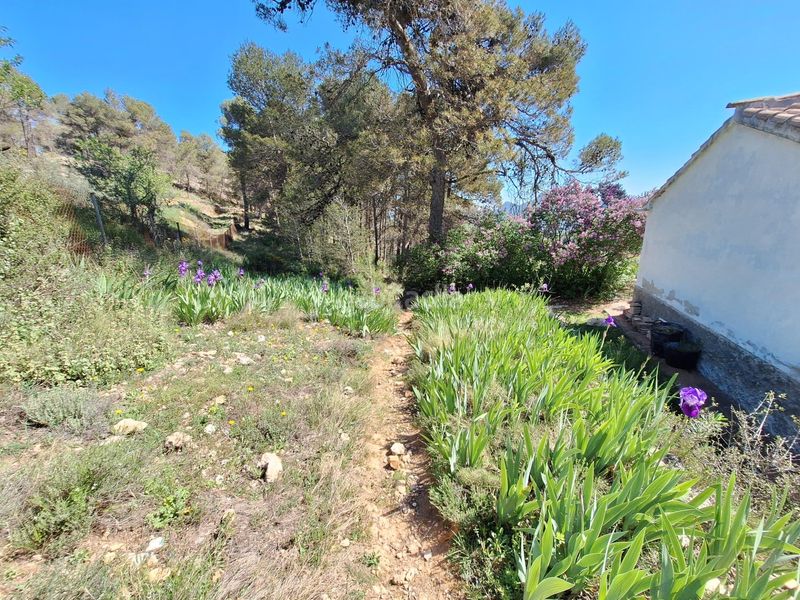 Foto 38ed6d18-b2a1-4c16-918a-a749ccab0d58. Casa a Centre-Zona Alta Alcoi