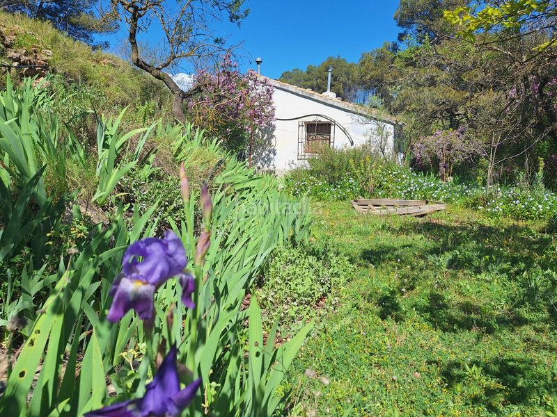 Foto 3b573d2b-22b5-4568-95e3-2d5e8ae12bd6. Casa a Centre-Zona Alta Alcoi