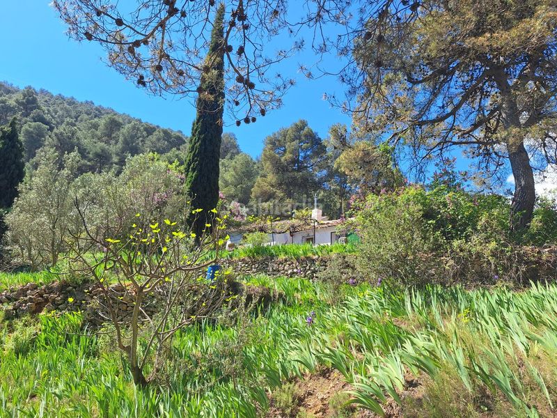 Foto 4c8b3357-b2fe-4562-8766-d857e9ba06f6. Casa a Centre-Zona Alta Alcoi