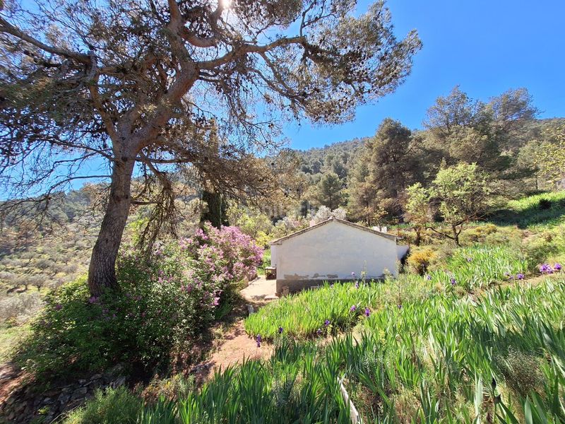 Foto 65e861a7-d8f4-4777-af56-5f42f6acd7b0. Casa a Centre-Zona Alta Alcoi