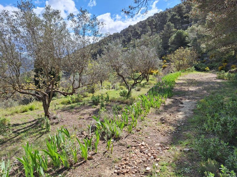 Foto 7df1b919-bfae-41e7-91bb-452025712992. Casa a Centre-Zona Alta Alcoi