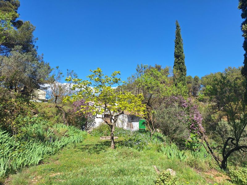 Foto 9c39ed62-8bde-490b-9572-42133534bec3. Casa a Centre-Zona Alta Alcoi