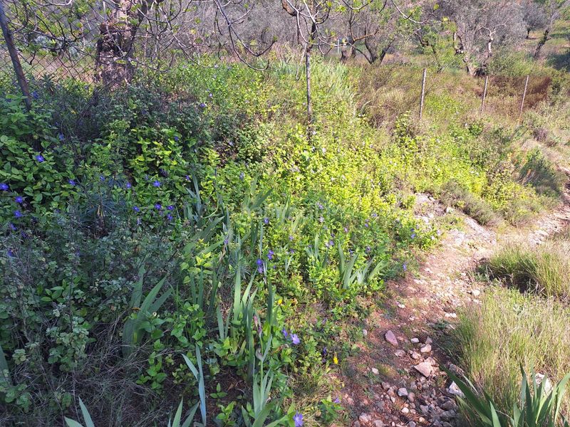 Foto c6ee80b8-1a0c-4598-af55-3c347186d03c. Casa a Centre-Zona Alta Alcoi