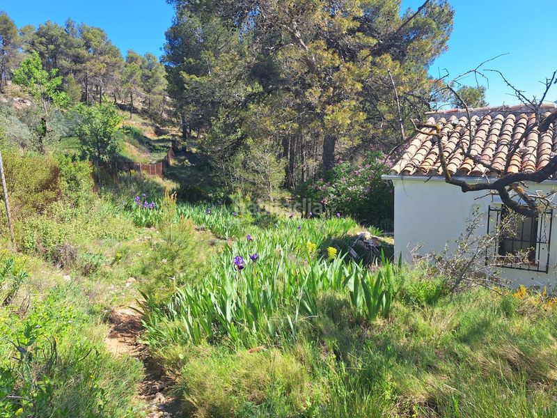 Foto cc017c53-e690-4c64-a9de-2c1b4225fff1. Casa a Centre-Zona Alta Alcoi