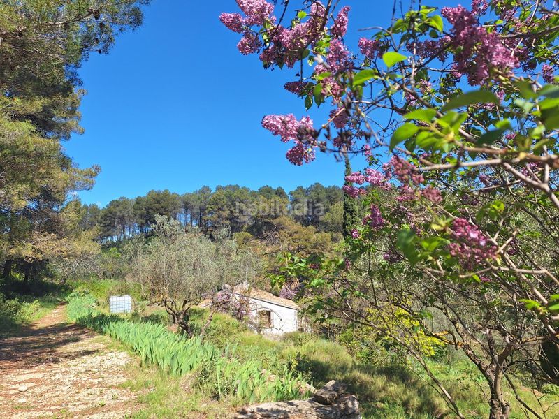 Foto e9747533-d378-458b-9e7a-6d2c99b9a3b2. Casa a Centre-Zona Alta Alcoi