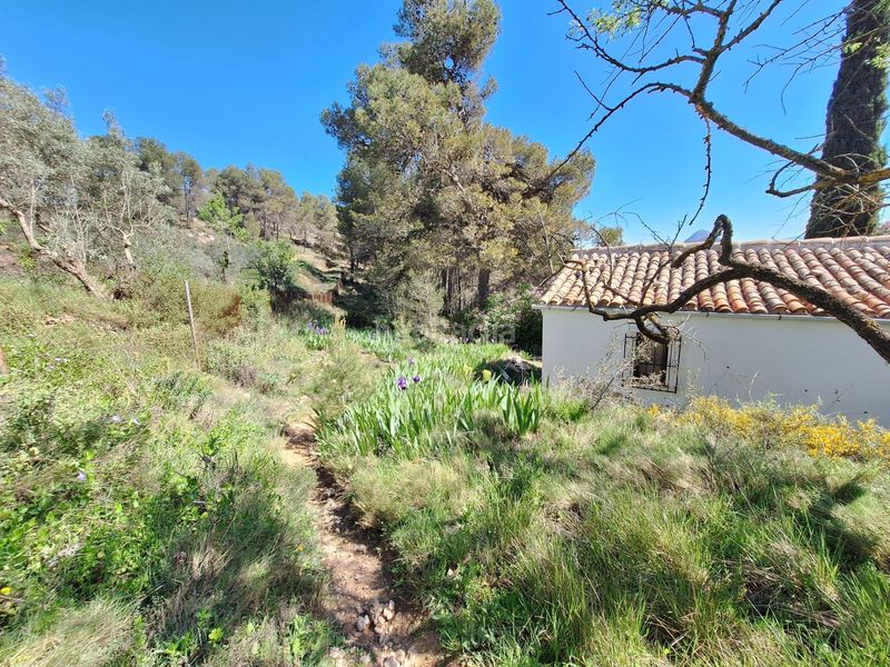 Foto ffec48c1-7c2f-4063-bea2-bfe3127a2989. Casa a Centre-Zona Alta Alcoi