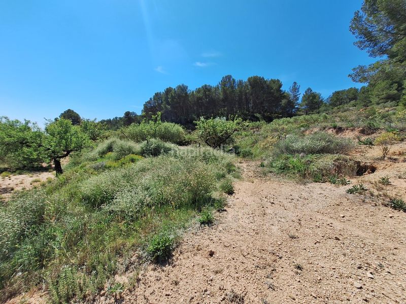 Foto 28afd2fb-0b0f-442f-a14f-bdaefd937dc5. Finca rústica a Castalla