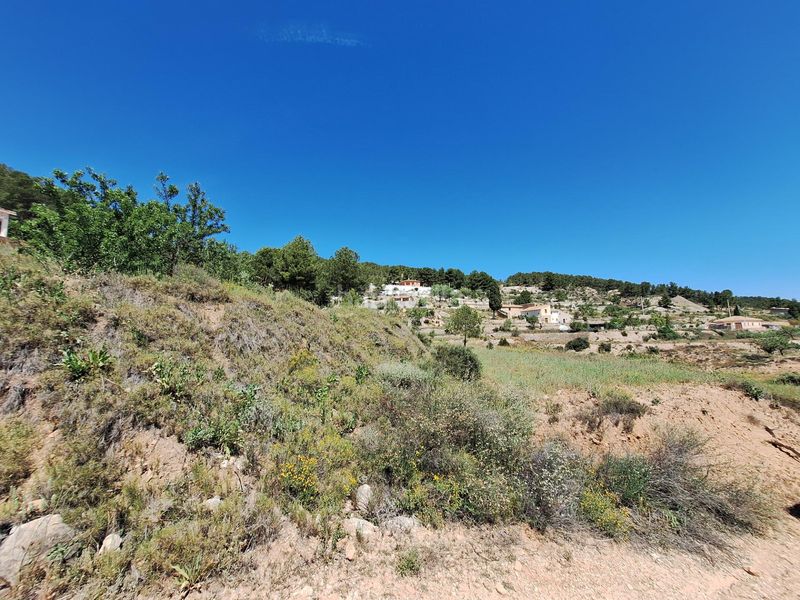 Foto d793e4fe-0931-4e3f-a9e2-1d710fa8bdac. Finca rústica a Castalla