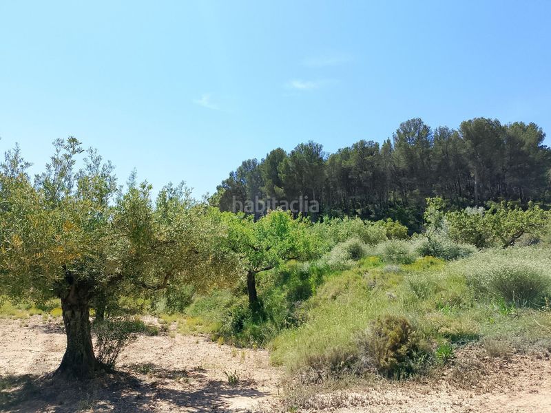 Foto ea4adec9-0b14-46f6-8ea9-7e44e88133e0. Finca rústica a Castalla