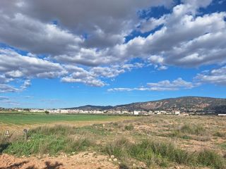 Propriété à Cortes-Huertas. Parcela rustica edificable a 3 minutos de pinoso