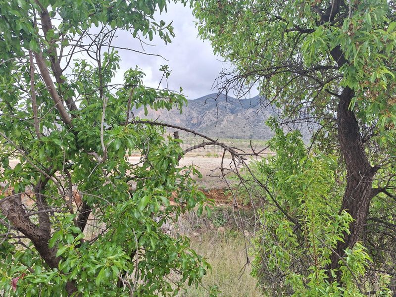 Foto 00f3e9f4-d63d-4344-8dc7-e0b95e01dfff. Casa a Algueña