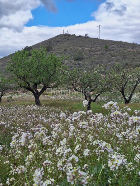 Foto f5d08cc7-2beb-49c9-80fe-2300ff7a032b. Casa a Algueña