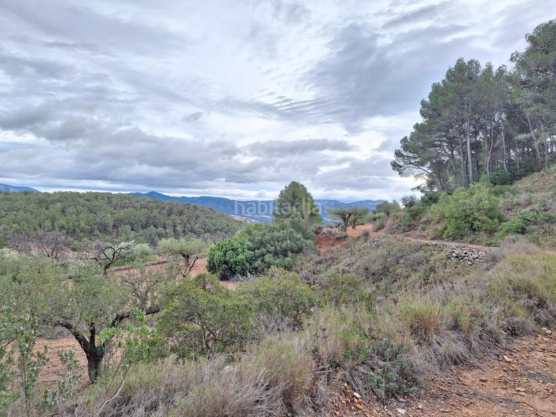 Foto c8b87780-f0bc-4a83-86dc-f72ab5033b31. Finca rústica a Castalla