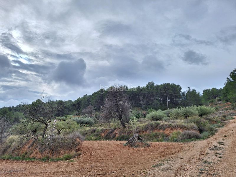 Foto db5a4557-ab28-4789-91ee-71d70ce6134b. Finca rústica a Castalla