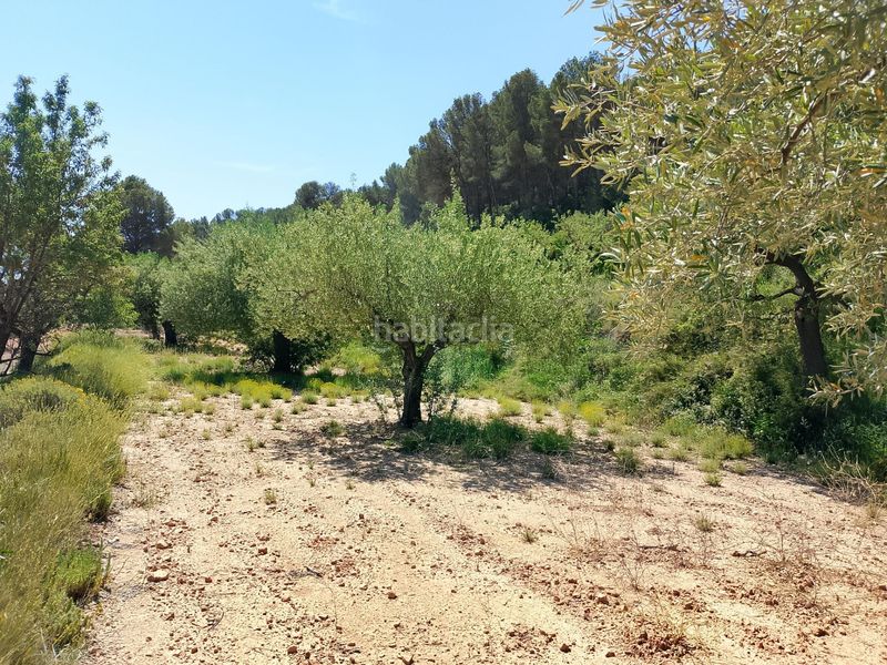 Foto ea5a629a-c0a6-4e8d-acc5-830e7d3f0268. Finca rústica a Castalla