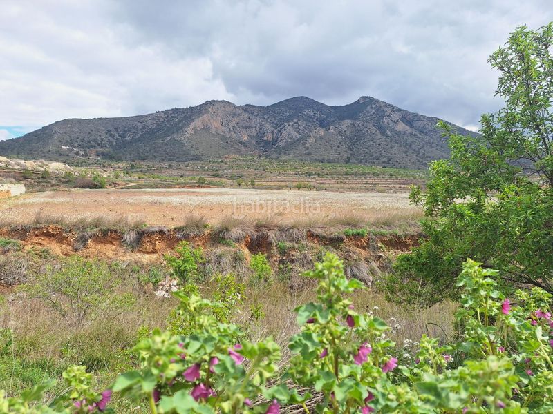 Foto accbfadd-3d95-45ff-8330-fc53666c43d3. Casa amb calefacció a Algueña